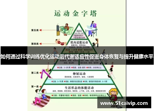 如何通过科学训练优化运动后代谢适应性促进身体恢复与提升健康水平